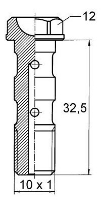 B&H tornillo hueco, largo, M10x1,25 Nickel, 32,5mm