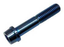 Hexagon socket screw, titanium, M8x40, blue NML