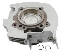 Ducati Cylinder complete, vertical - 600 Monster 1998-2001