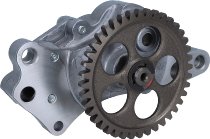 Ducati Oil pump complete - SS, Monster, 748-1198,