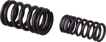 Aprilia Ventilfeder-Kit Einlassventil - RS660, RSV4 2020->