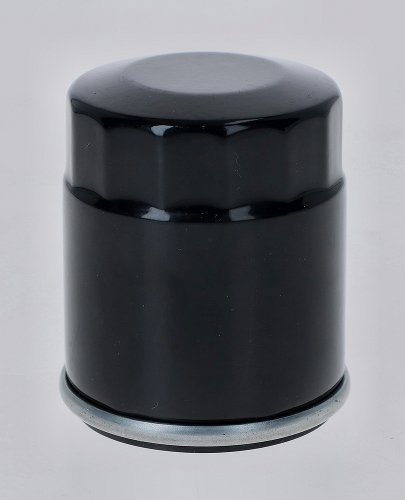 Aprilia Oil filter - 125,200,  250, 300 Atlantic, Mojito,