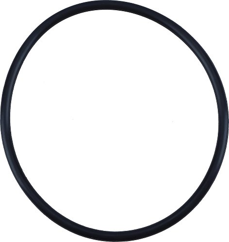 Dichtring (O-Ring)