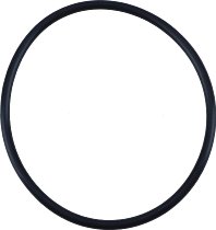 Dichtring (O-Ring)