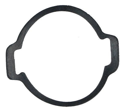 Newtronic Cover gasket for electronic ignition system MG1 -