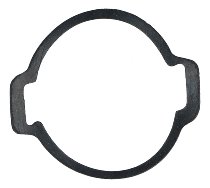 Newtronic Cover gasket for electronic ignition system MG1 -