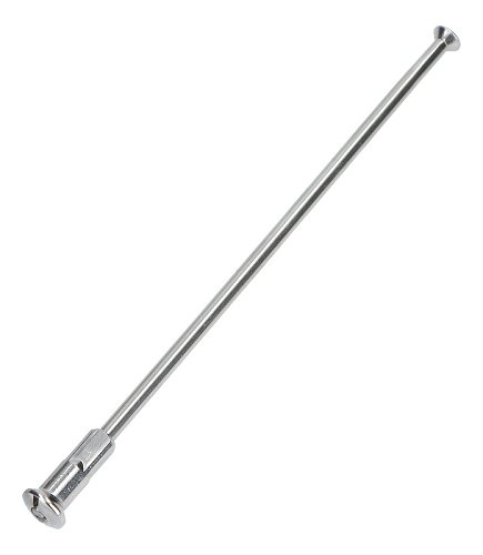 Raggio posteriore 148mm Guzzi Florida