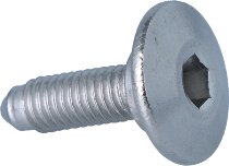 Moto Guzzi/Aprilia tornillo con brida M5x12 - Griso, Breva,