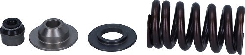 EXHAUST VALVE SPRING KIT