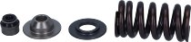 EXHAUST VALVE SPRING KIT