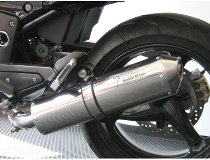 Agostini Silencer, polished, oval, with homologation - Moto