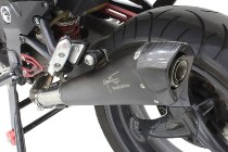 Agostini Silencer, x-black, black, carbon, with homologation