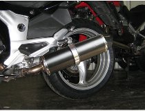 Agostini Silencer, black, oval, carbon, with homologation -