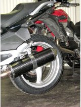 Agostini Silencer, carbon, polished, oval, with homologation