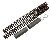 Wirth Fork spring kit progressive with homologation - Moto