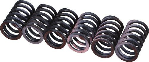 Surflex clutch spring set - Benelli, Suzuki