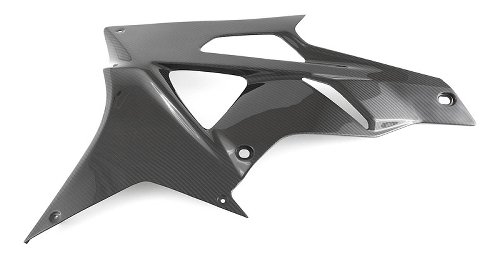 CarbonAttack Side fairing lower right side glossy - BMW S