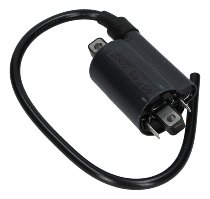 Ducati Ignition coil - 400, 620, 750, 800, 900 Monster i.e.,