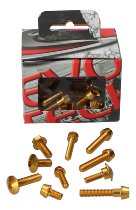 Evotech Panel screws, gold - Ducati 821 Monster