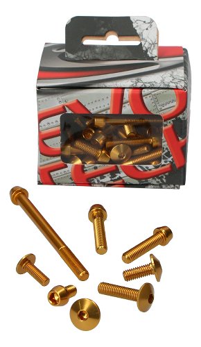 Evotech Panel screws, gold - Ducati 1200 Monster / S