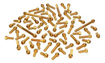Evotech Engine screws, gold - Ducati 749 / 916 / 996