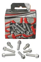 Evotech Engine screws, silver - Ducati 1098 R / S /