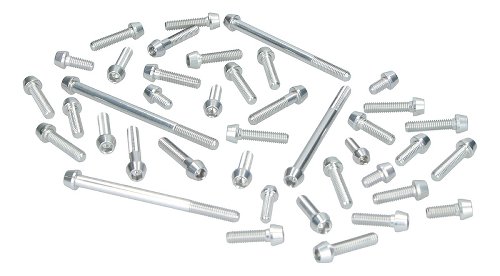 Evotech Engine screws, silver - Ducati 600 Monster