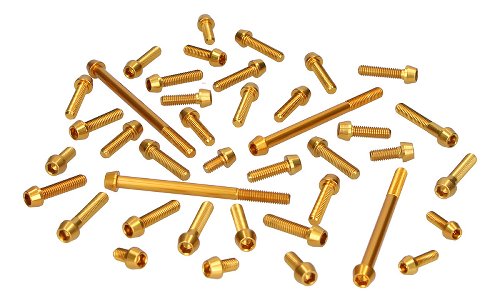 Evotech Engine screws, gold - Ducati 600 Monster