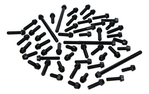 Evotech Engine screws, black - Ducati 620 Monster