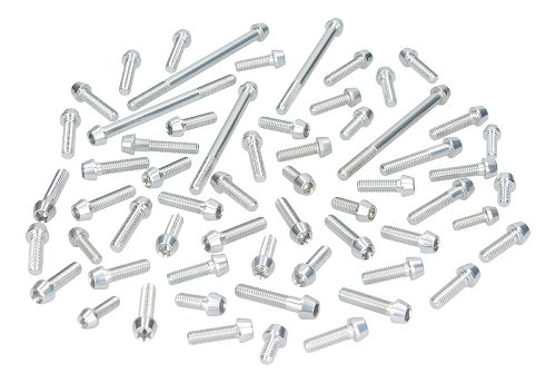 Evotech Engline screws, silver - Ducati 750 Monster