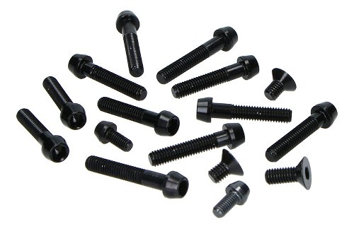 Evotech Engine screws, black - Ducati 1200 Monster / S