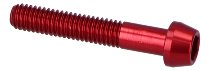 Evotech Engine screws, red - Ducati 1200 Monster / S