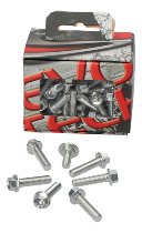 Evotech Engine screws, silver - Ducati 899 / 1199 Panigale