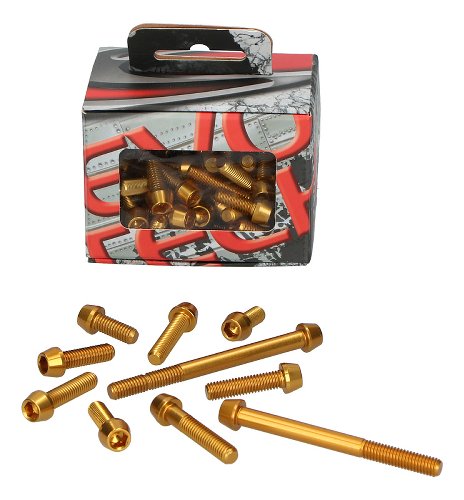 Evotech Engine screws, gold- Ducati 916 Monster S4