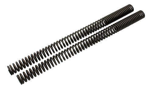 Wirth Fork spring kit progressive with ABE - Ducati 900 SD