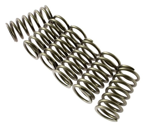 Ducati Clutch spring kit inox - 750-900 SS, Monster, ST2,