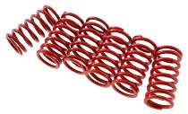 Ducati Clutch spring kit red - 748-999, ST3, ST4,