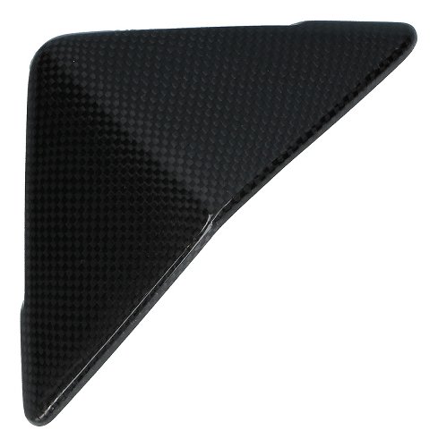Carbonworld windshield, carbon suitable for Ducati