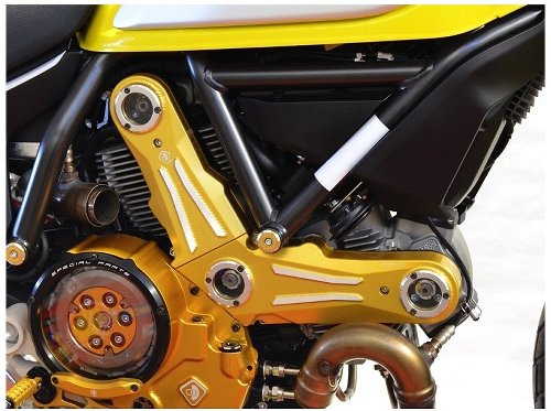 Ducabike Coperchio cinghie distribuzione Scrambler-Hyper 796