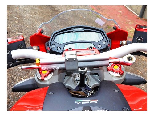 Ducabike Lenkungsdämpfer, Öhlins - Ducati Monster 821 /