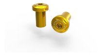 Ducabike Screw Set, Key Lock ,2 pcs, gold - Ducati Monster