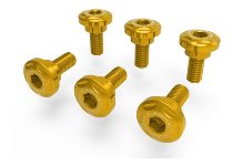 Ducabike Screw Set, Front Wheel Cover ,6 pcs, gold - Ducati