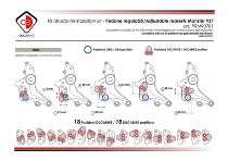 Ducabike poggiapiedi regolabile, nero-oro - Ducati