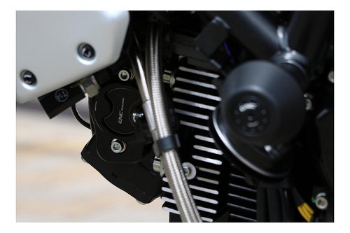 CNC Racing Camshaft cover, gold - Ducati Scrambler / Monster