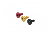 CNC Racing Ducati Aluminum screws kit (1 pcs) - gold -