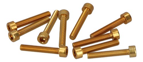 CNC Racing Ducati Schraubensatz ergal TCEI M5x30 10 stk gold