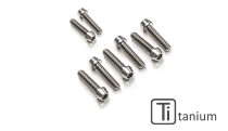 CNC Racing Bottom yoke screw kit, Titan - Ducati Panigale