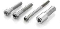 Rizoma PROGUARD Adapter (pro Stück)