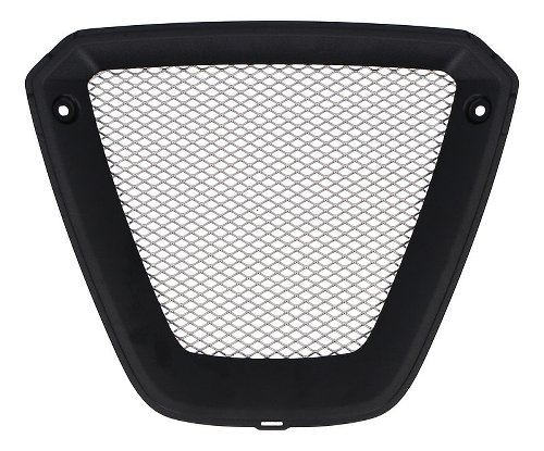 Ducati Fairing grid lower - 1260 XDiavel S, Black Star