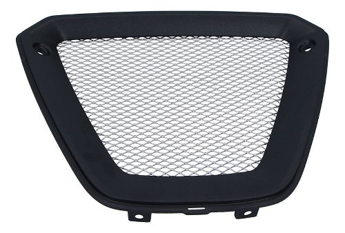 Ducati Fairing grid lower - 1260 XDiavel S, Black Star